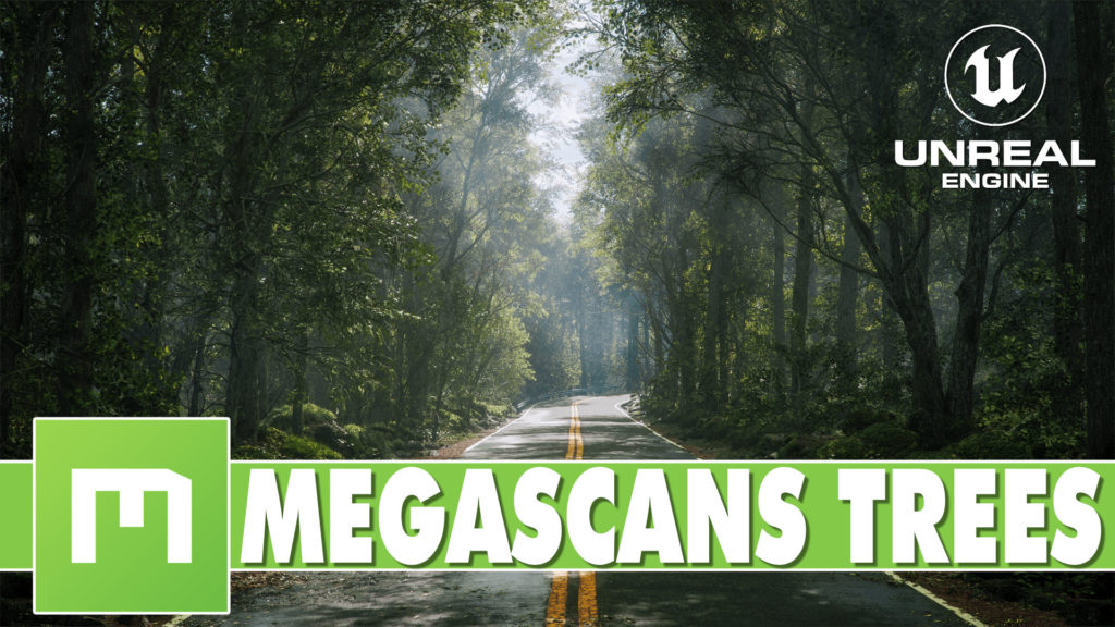 Quixel Megascans Tree Pack free for Unreal Engine